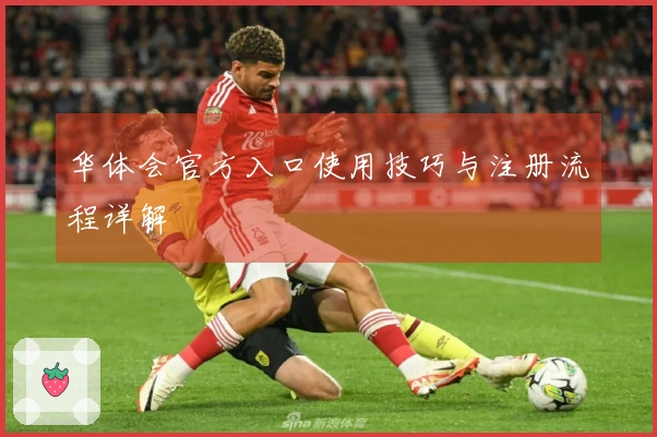 华体会官方入口使用技巧与注册流程详解